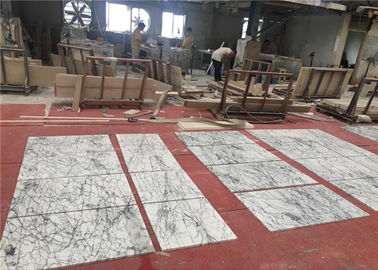 China Anunció las tejas de mármol blancas de piedra naturales del cartabón del piso del tamaño de los 60x60cm  proveedor