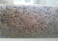 La vanidad prefabricada del cuarto de baño del recorte del agujero del fregadero remata el granito tropical de Brown proveedor