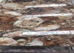 Las losas aterrorizadas de la piedra preciosa semi de madera alisan el corte modificado para requisitos particulares superficie proveedor